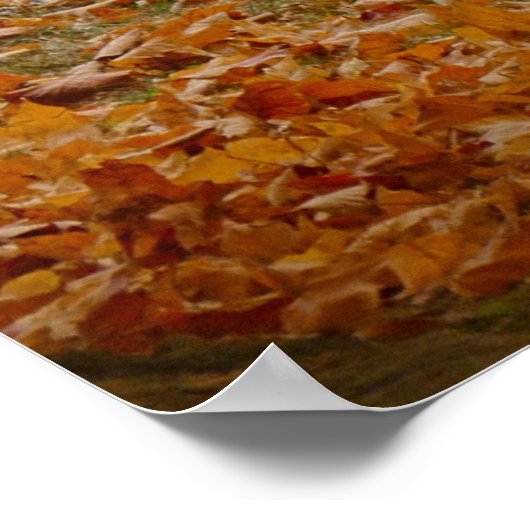 1969オールド442 ポスター (角)