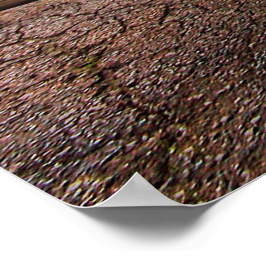 1969 Dodge Coronet R/T ポスター (角)