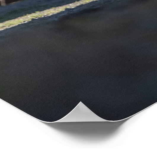 1969 Pro Touring Firebird ポスター (角)