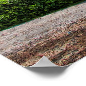 1969 SSカマロ ポスター (角)