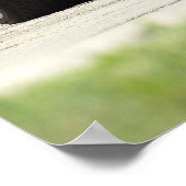 1969 Z28 ポスター (角)