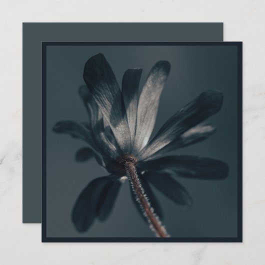 196.おいしい暗い花 カード (正面/裏面)