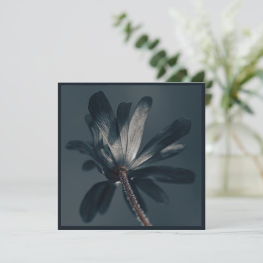 196.おいしい暗い花 カード (スタンド正面)