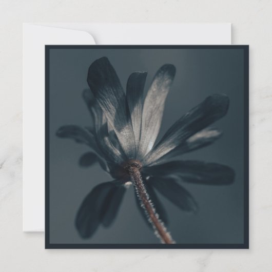 196.おいしい暗い花 カード (正面)