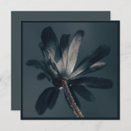 196.おいしい暗い花 カード