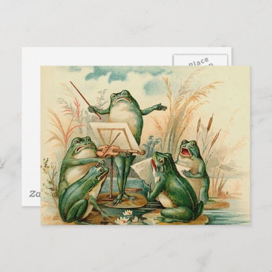 196.カエルの群れ ポストカード (正面/裏面)