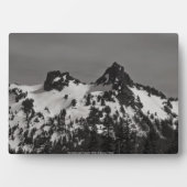 196.城とピナクル フォトプラーク (正面)