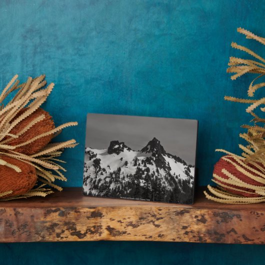 196.城とピナクル フォトプラーク (側面)