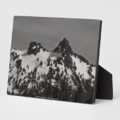 196.城とピナクル フォトプラーク (側面)