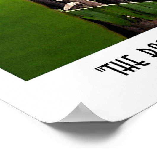 196.竹の傘 ポスター (角)