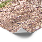 1970オールズモバイルカトラススポーツ ポスター (角)