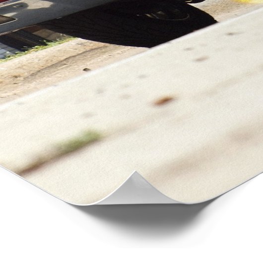 1970シェベル396 ポスター (角)