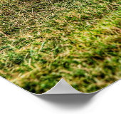 1970プリマスGTX ポスター (角)