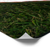 1970 Plymouth Superbird ポスター (角)