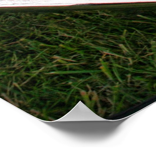 1970 Plymouth Superbird ポスター (角)