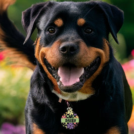 1970sレトロデイジー ペット　ネームタグ