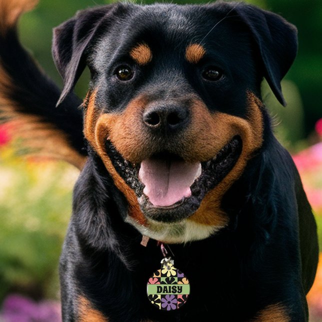1970sレトロデイジー ペット　ネームタグ (クリエイターアップロード済み)