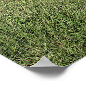 1971 340 'HDRのキューダ ポスター (角)