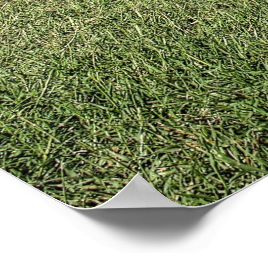 1971 340 'HDRのキューダ ポスター (角)