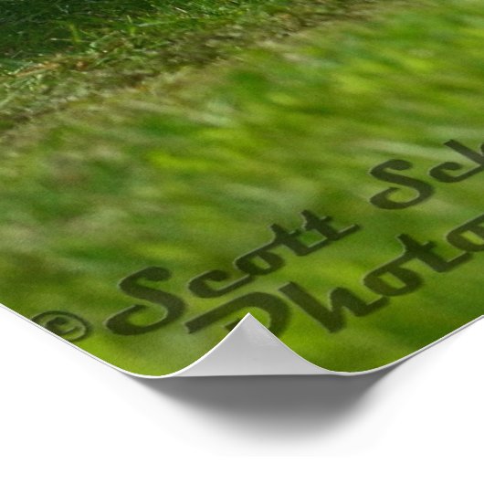 1971 Dodge Challenger R/T 440 sixpack ポスター (角)