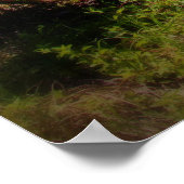 1972短剣ソフトフォーカス ポスター (角)