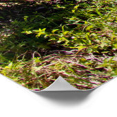 1972短剣 ポスター (角)