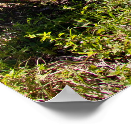 1972短剣 ポスター (角)