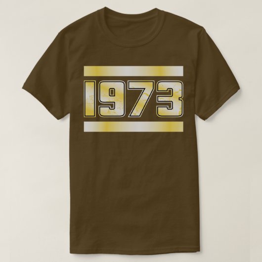1973ヒップホップ Tシャツ (デザイン正面)
