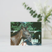 1977年の競走馬 ポストカード (スタンド正面)