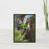 1977生まれ年の誕生日おもしろい事実 カード (正面)