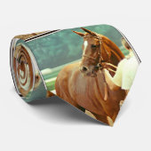 1978年に確認されたサラブレッド競走馬 ネクタイ (ロール)
