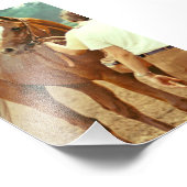 1978年に確認されたサラブレッド競走馬 フォトプリント            (角)