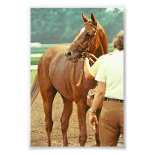 1978年に確認されたサラブレッド競走馬 フォトプリント           