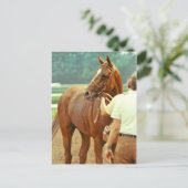 1978年に確認されたサラブレッド競走馬 ポストカード (スタンド正面)