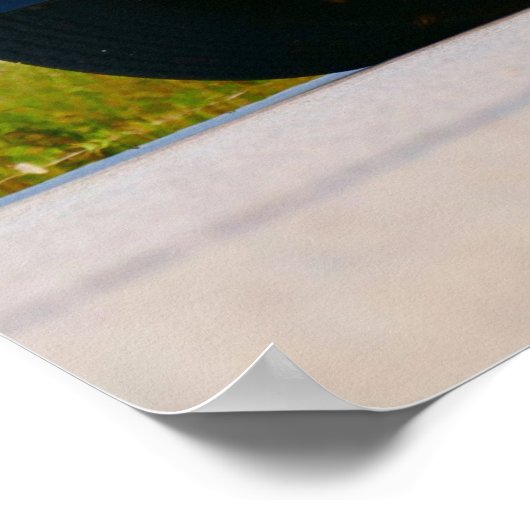 1978 Firebird Trans Am ポスター (角)