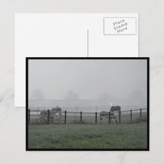 ~ 1979年の春 ~ ポストカード (正面/裏面)