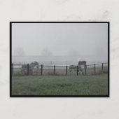 ~ 1979年の春 ~ ポストカード (正面)