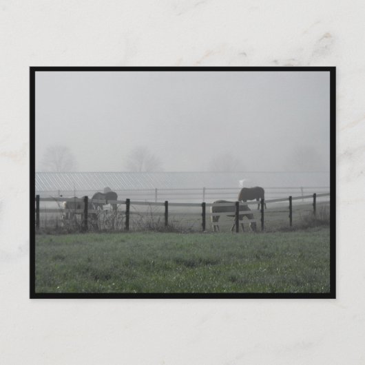 ~ 1979年の春 ~ ポストカード (正面)