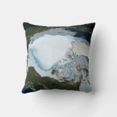 1980年に海氷のカバレッジを示す惑星の地球。 クッション (裏面)