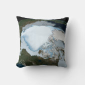 1980年に海氷のカバレッジを示す惑星の地球。 クッション (正面)