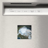 1980年に海氷のカバレッジを示す惑星の地球。 マグネット (インサイチュ (食洗機))