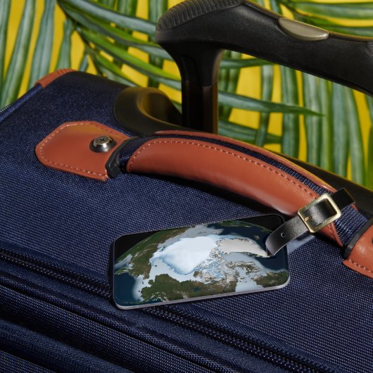 1980年に海氷のカバレッジを示す惑星の地球。 ラゲッジタグ (正面インサイチュ3)