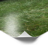 1980年マーキュリーカプリ フォトプリント            (角)