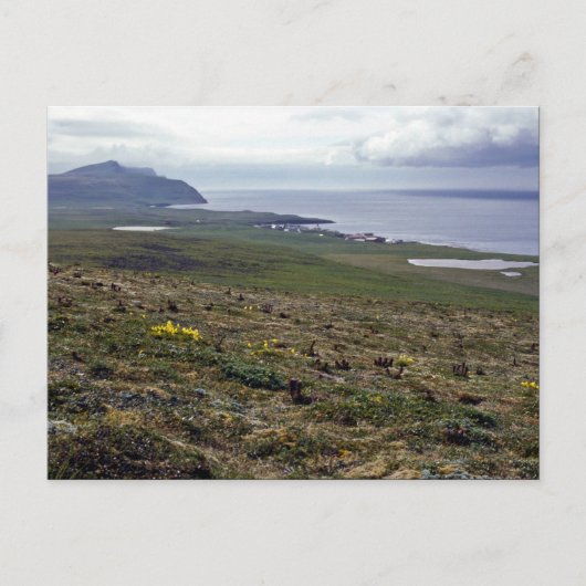 1987年プリビロフ・セント・ジョージ島 ポストカード (正面)