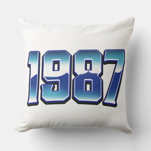 1987 クッション (正面)