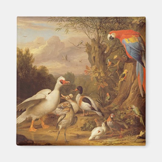 198.アヒルやオウムや他の鳥 マグネット (正面)