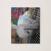 198.ドレスを着たウサギ ジグソーパズル (縦)