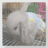 198.ドレスを着たウサギ ストーンコースター (正面)