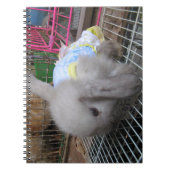 198.ドレスを着たウサギ ノートブック (正面)