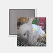 198.ドレスを着たウサギ マグネット (正面/裏面)